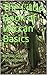 The Little Book of Wiccan Basics: An Old School Perspective