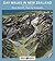 Day Walks in New Zealand: 100 Great Tracks (Bird's Eye Guides) by Barnett, Shaun (2007) Paperback