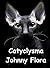 Catyclysma