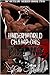 Blood War (The MC Outlaw #2)