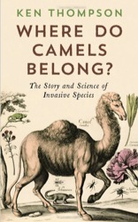 Where Do Camels Belong? (Paperback)