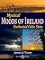 Enchanted Celtic Skies, Book I (Second Edition): Vol. 1 of the Mystical Moods of Ireland Series of Photographic Essays