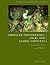 American Photography: Local and Global Contexts (Studies in Theory and History of Photography, 2) (German Edition)