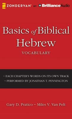 Basics of Biblical Hebrew Vocabulary