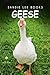 Geese - Sandie Lee Books (children's animal books age 4-6, wildlife photography, animal books nonfiction)