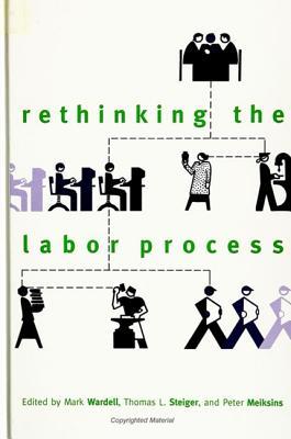 Rethinking the Labor Process (New Inequalities)