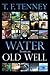 Water From an Old Well