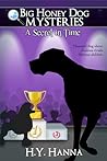 A Secret in Time by H.Y. Hanna