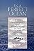 In a Perfect Ocean: The State Of Fisheries And Ecosystems In The North Atlantic Ocean (The State of the World's Oceans Book 1) (Volume 1)