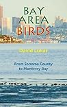 Bay Area Birds