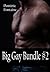 Big Gay Bundle #2