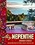 My Nepenthe by Romney Steele