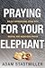 Praying for Your Elephant by Adam Stadtmiller