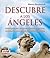 Descubre a los Ángeles (Swing Universum) (Spanish Edition)