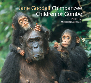 Chimpanzee Children of Gombe (Hardcover)