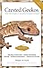 Crested Geckos