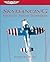 Skydancing: Aerobatic Fligh...