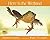 Here Is the Wetland (Web of...