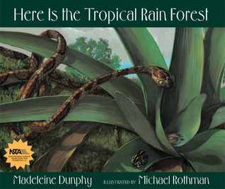 Here Is the Tropical Rain Forest (Web of Life, 1)