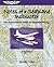 Notes of a Seaplane Instruc...