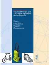 Industrial Designs and The Hague Agreement:  An Introduction