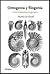 Ontogenia y Filogenia. La ley fundamental biogenética by Stephen Jay Gould
