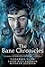 The Bane Chronicles by Cassandra Clare