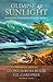 Glimpse of Sunlight (Jonathan Dickinson Odyssey, #1)