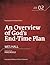 An Overview of God's End-Time Plan by Wes Hall