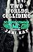 Two Worlds Colliding (Scorpio Stinger MC, #1)