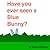 Have you ever seen a Blue Bunny?