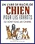 Un livre de races de chien pour les enfants: Ils sont tous les chiens (French Edition)