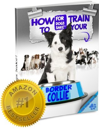 border collie leash training