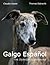 Galgo Español