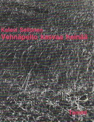 Vehnäpelto kasvaa heinää