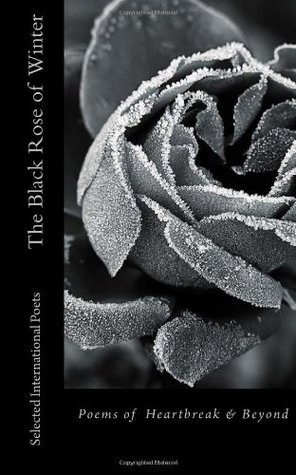 The Black Rose of Winter