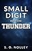 Small Digit by S O Nolley