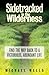 Sidetracked In The Wilderness by Michael Wells