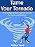Tame Your Tornado: How to Organize Every Aspect of your Life for Success and Happiness (Sheesh Pull Yourself Together, Man Book 2)