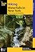 Hiking Waterfalls in New York: A Guide To The State's Best Waterfall Hikes