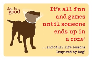 It's All Fun and Games Until Someone Ends Up in a Cone®: ...And Other Life Lessons Inspired by Dog® (Dog Is Good)