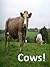 Cows : Children's picture book of farm animals and cows