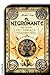 El nigromante (Juvenil) (Spanish Edition)