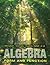 Algebra: Form and Function