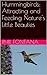 Hummingbirds: Attracting and Feeding Nature's Little Beauties