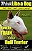 Bull Terrier, Bull Terrier Training AAA AKC: |Think Like a Dog, But Don’t Eat Your Poop! | Bull Terrier Breed Expert Training |: Here's EXACTLY How To Train Your Bull Terrier