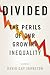 Divided: The Perils of Our Growing Inequality