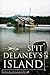 Spit Delaney's Island