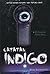 Catatan Indigo