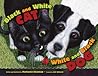 Black and White Cat White and Black Dog